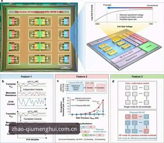资深用户分享：球盟会注册流程安全性实测与行业趋势观察